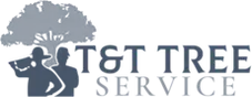 T&T Tree Service